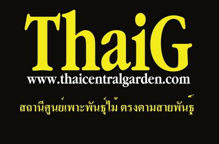 ศูนย์เพาะพันธุ์ไม้ Thaig thaicentral garden